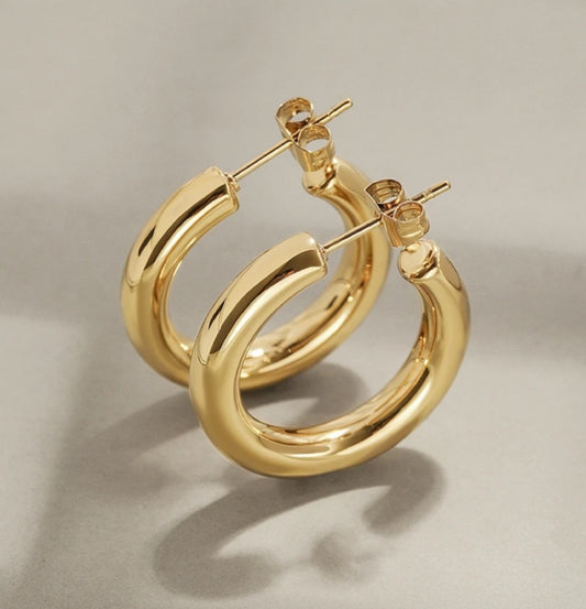 Versatile Elegant Hoops Earring